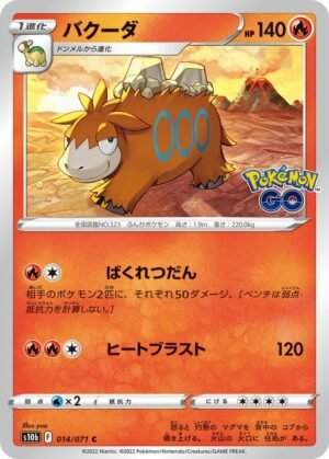 Camerupt Pokemon card